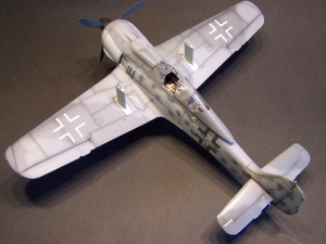 Fw 190 F-8 SG 113 "Foerstersonde" Umbau 1/48