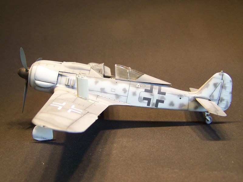 Fw 190 F-8  SG 113  Foerstersonde  conv. 1/48